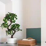 Appartement Azzurra1